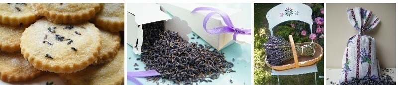 buy dried lavender products