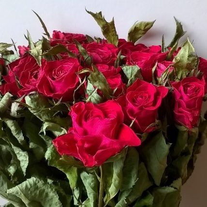 buy red dried flowers roses