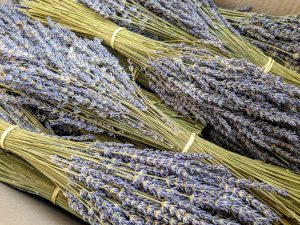 dried lavender bunch wholesale