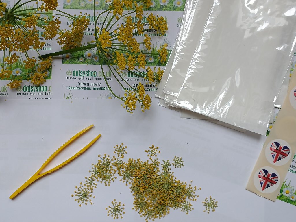 uk pressed flowers