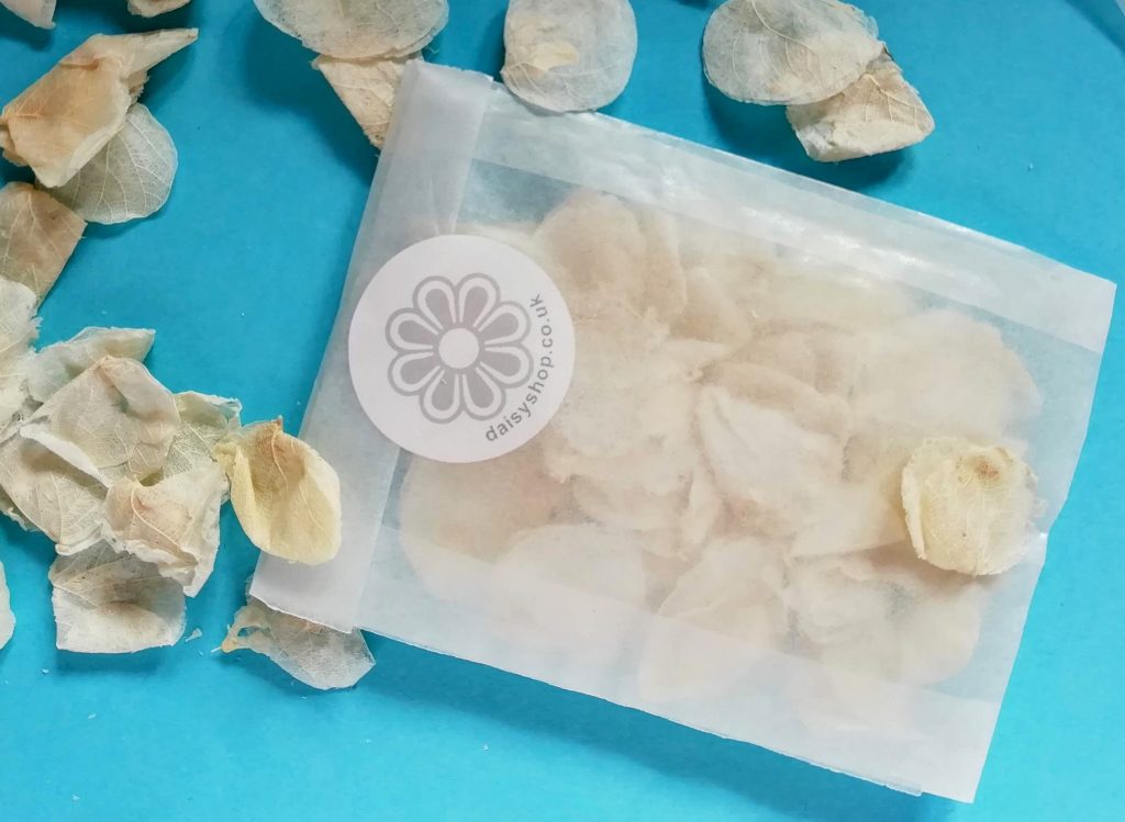 wedding confetti ivory colour