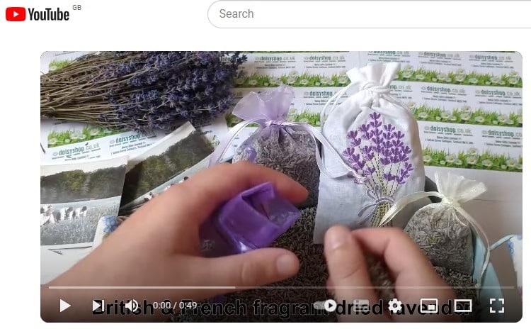 daisyshop youtube