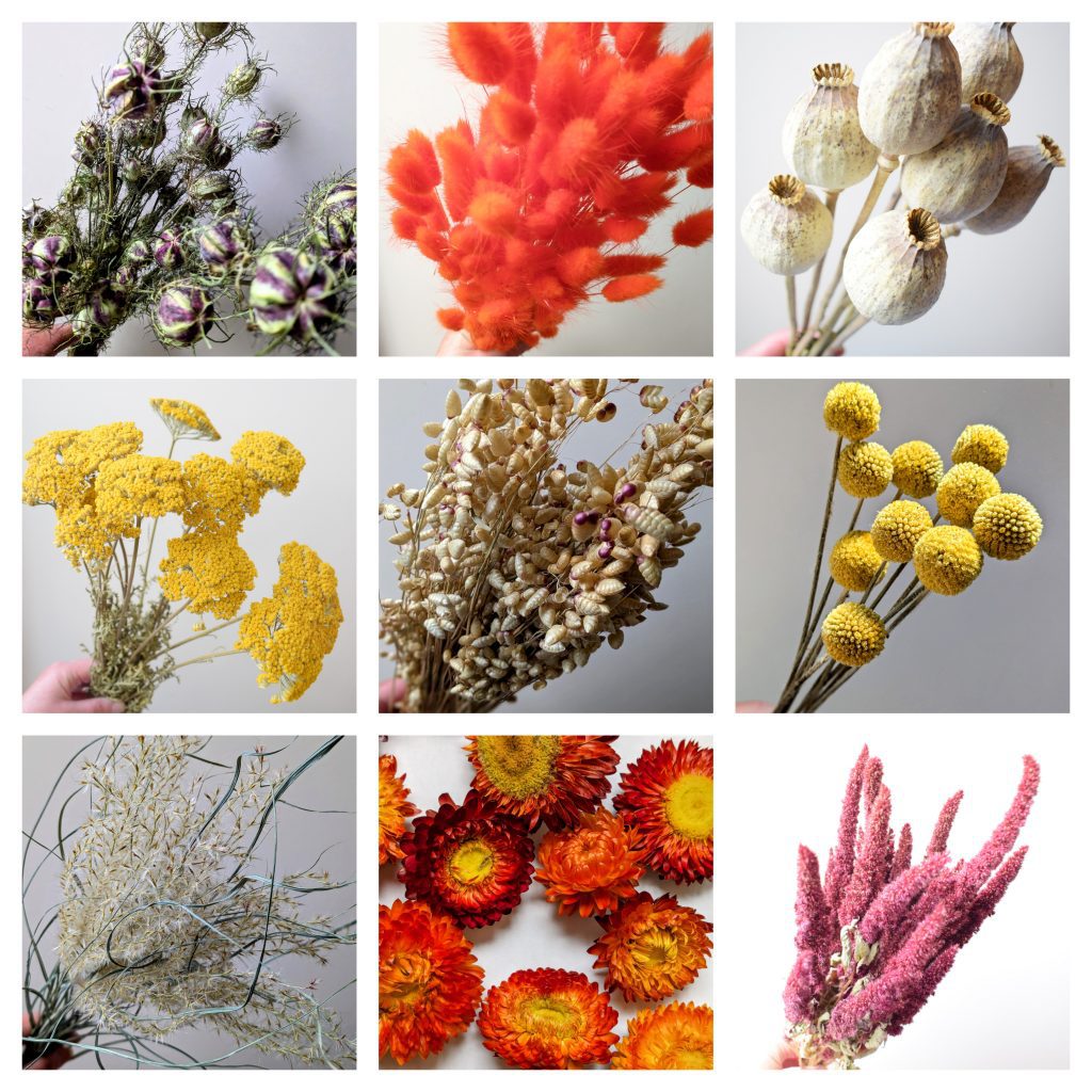 autumn dried flowers collage