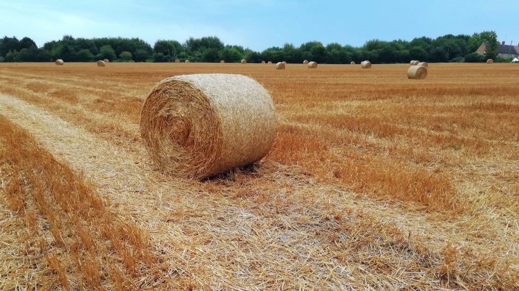 straw bales