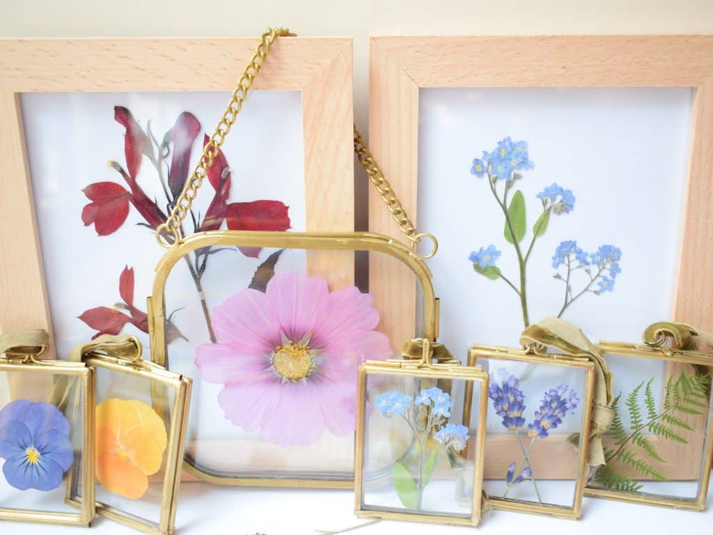 pressed flowers valentines day