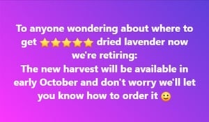 dried lavender supply