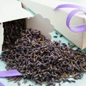 buy lavender confetti wholesale
