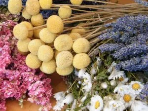 buy dry flower bunches