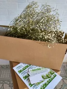 care of dried flowers box