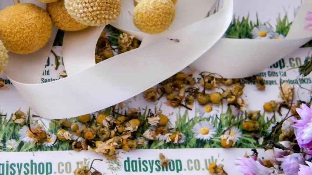 daisy gifts ltd dried flowers UK