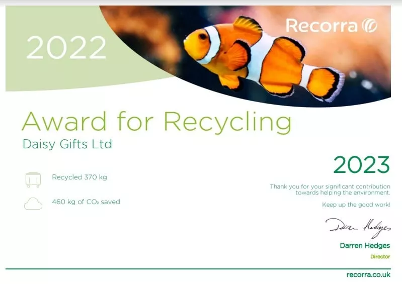 daisyshop UK dried flowers environment