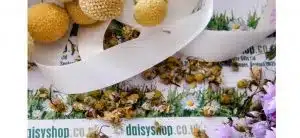 daisyshop.co.uk dried flowers UK