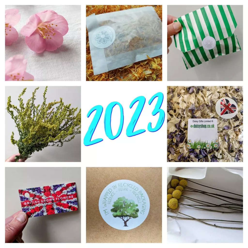 sustainable dried flowers