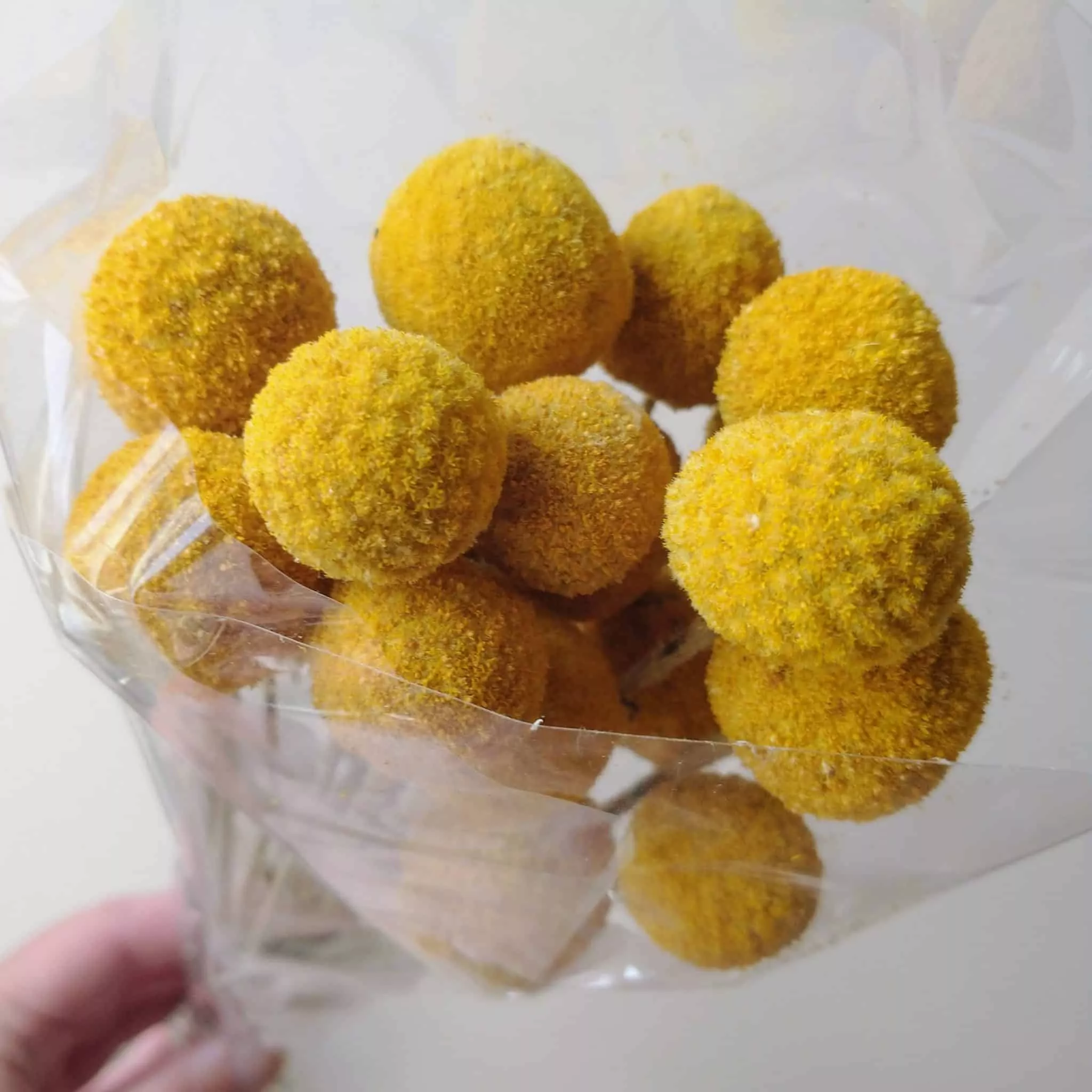 billy buttons craspedia bunch dried