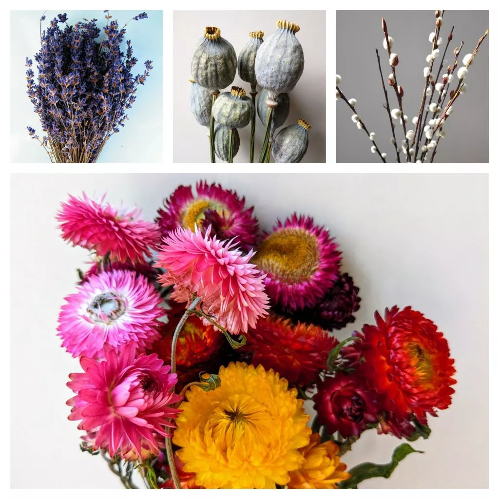 british dried flowers bunch