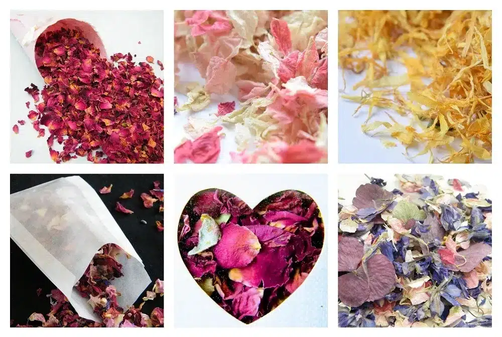 buy dried flower confetti uk