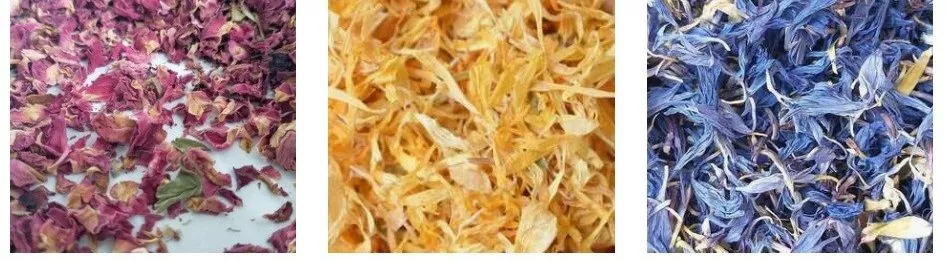 confetti petals primary colours