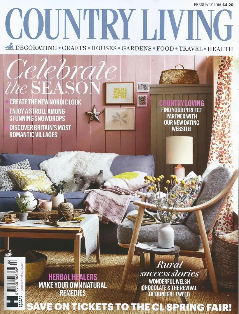 dried billy buttons country living