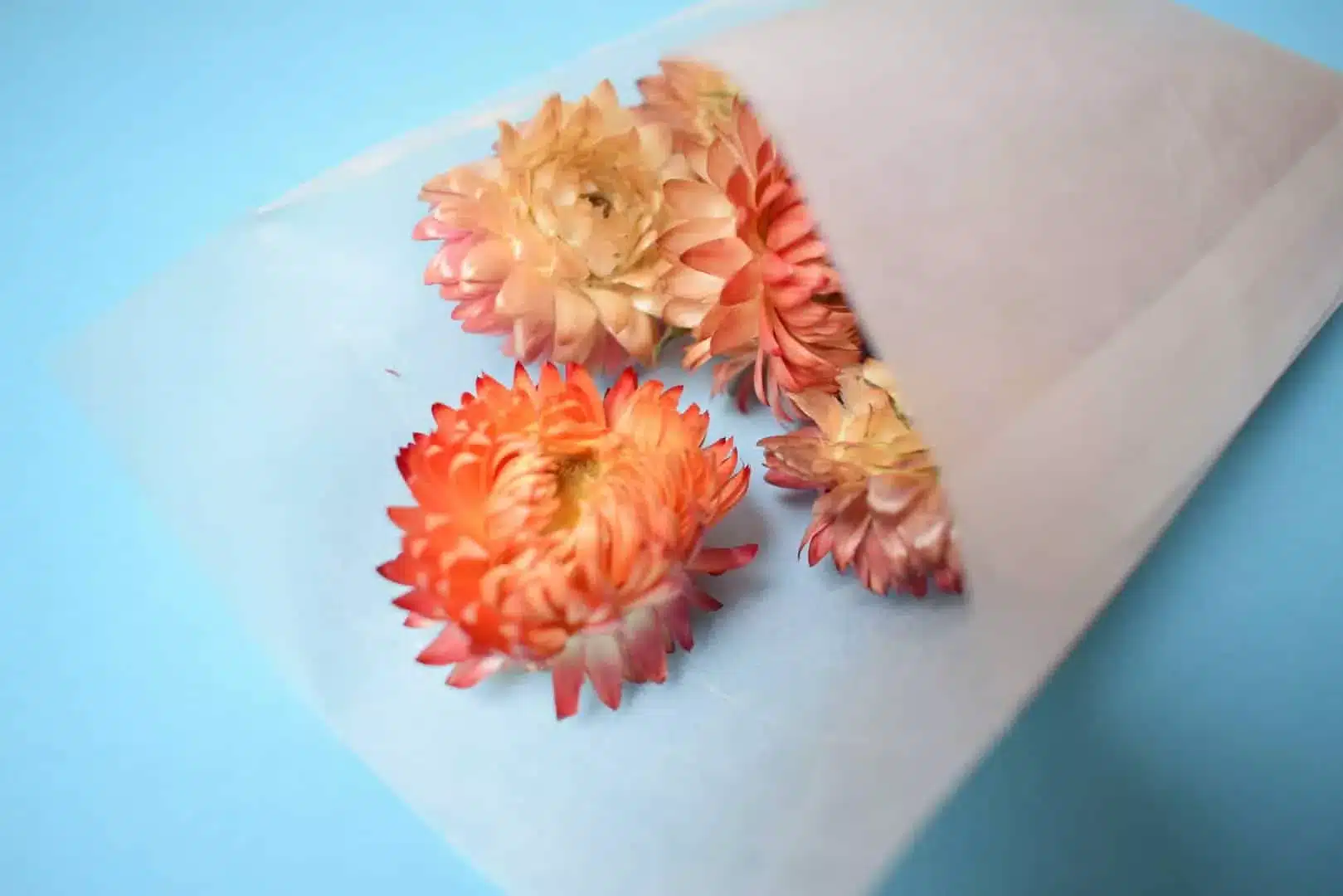 self seal glassine bag small