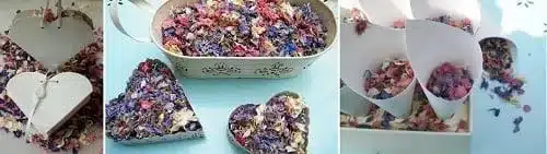 natural delphinium petal confetti