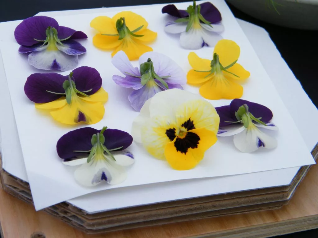 spring dried flowers