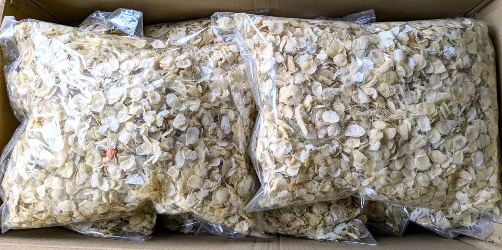 ivory confetti bulk