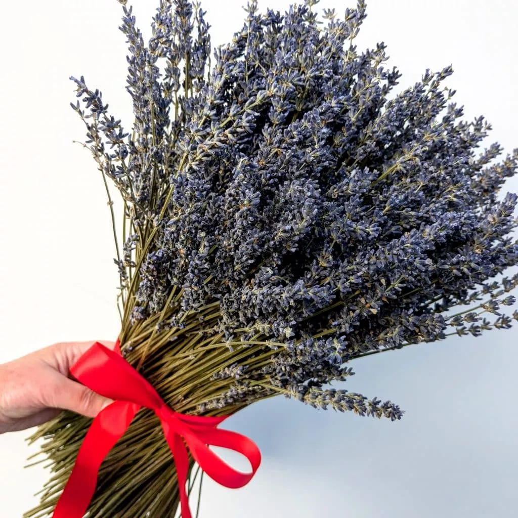 natural christmas gift lavender sheaf red bow