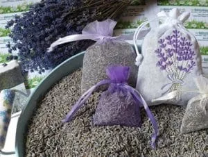 dried lavender grains