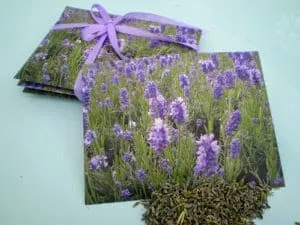 home fragrance potpourri