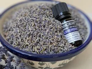 lavender oil aromatherapy