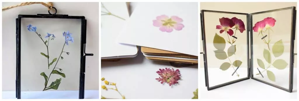 pressed flowers valentines day