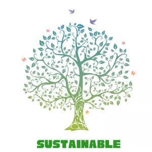 daisyshop UK sustainable dried flowers