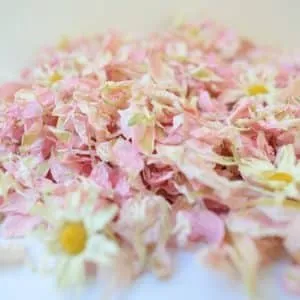 delphinium petal confetti uk