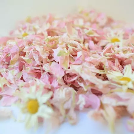 delphinium petal confetti uk