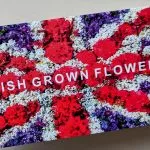 uk dried flowers shop