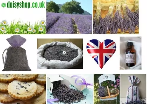 buy dried lavender products