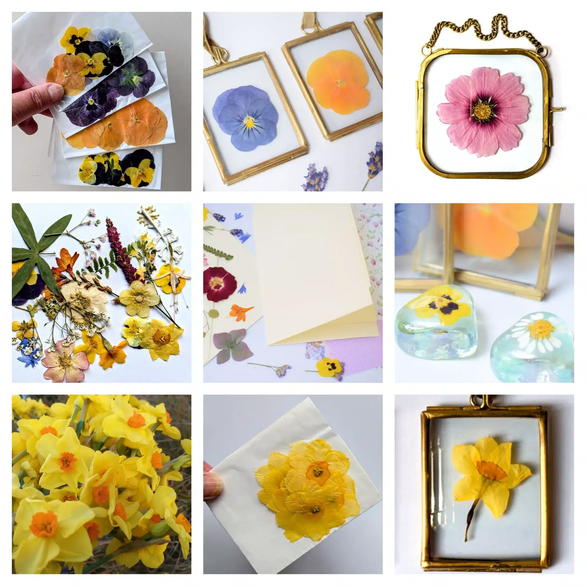 spring pressed flower craft