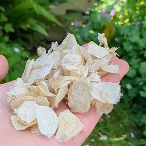 affordable confetti petals